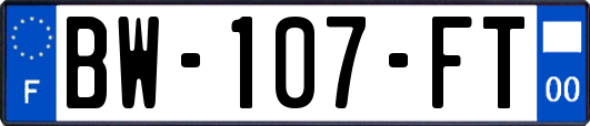 BW-107-FT