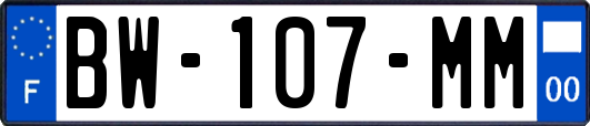 BW-107-MM