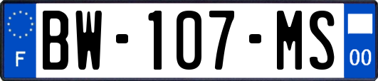 BW-107-MS