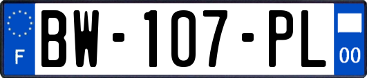 BW-107-PL