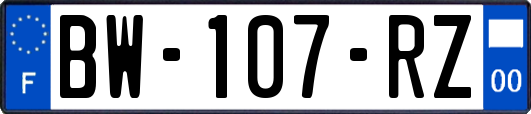 BW-107-RZ