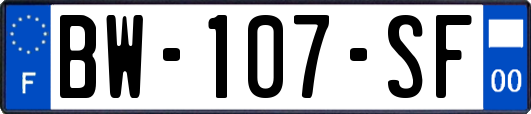 BW-107-SF