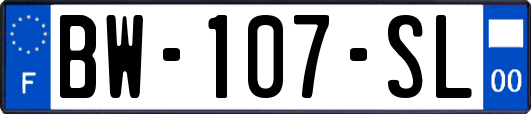 BW-107-SL
