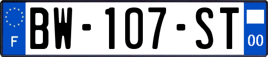 BW-107-ST