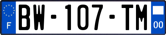 BW-107-TM
