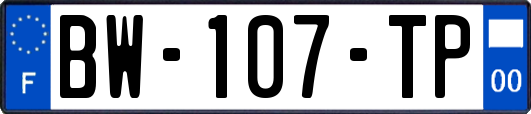 BW-107-TP