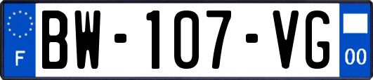 BW-107-VG