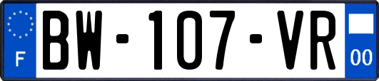 BW-107-VR