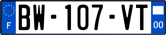 BW-107-VT