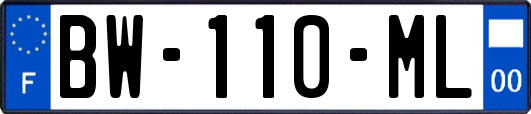BW-110-ML