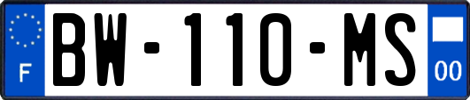 BW-110-MS