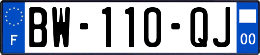 BW-110-QJ