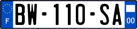 BW-110-SA