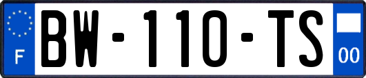 BW-110-TS