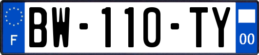BW-110-TY