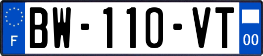BW-110-VT
