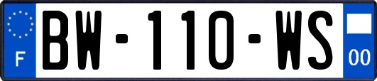 BW-110-WS