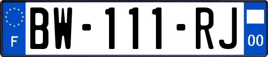 BW-111-RJ