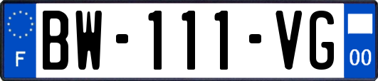 BW-111-VG