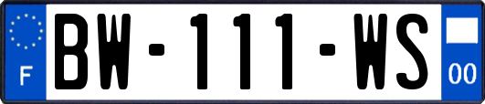 BW-111-WS