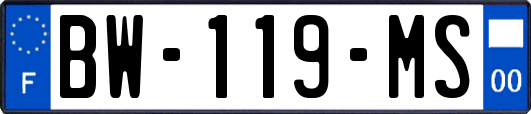 BW-119-MS