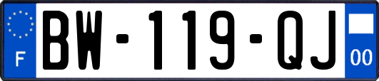 BW-119-QJ