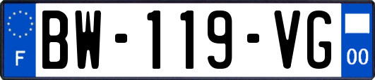 BW-119-VG