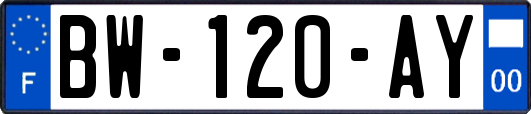 BW-120-AY