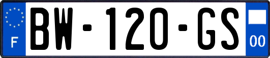 BW-120-GS