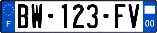 BW-123-FV