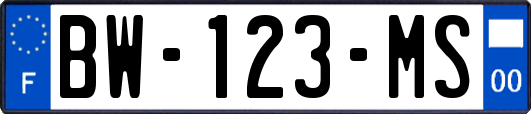 BW-123-MS