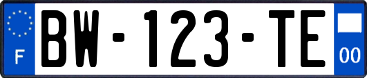 BW-123-TE