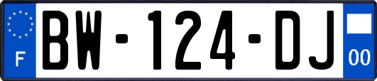 BW-124-DJ