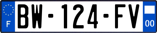 BW-124-FV