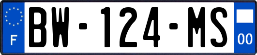 BW-124-MS