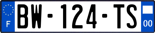 BW-124-TS