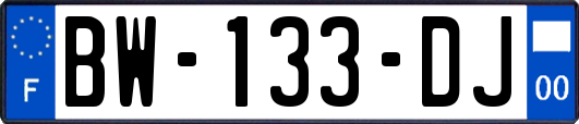 BW-133-DJ