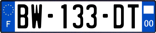 BW-133-DT