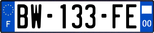 BW-133-FE