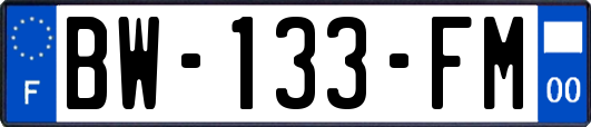 BW-133-FM