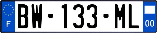BW-133-ML