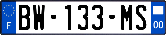 BW-133-MS