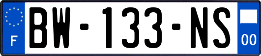 BW-133-NS