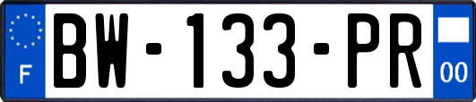 BW-133-PR
