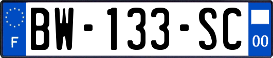 BW-133-SC