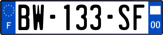 BW-133-SF