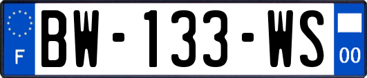 BW-133-WS