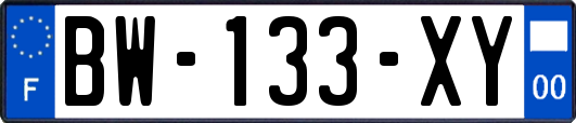 BW-133-XY