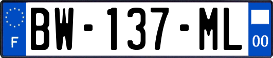 BW-137-ML