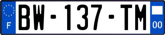 BW-137-TM